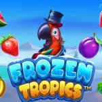 JACKPOT MAIN DI FROZEN TROPICS